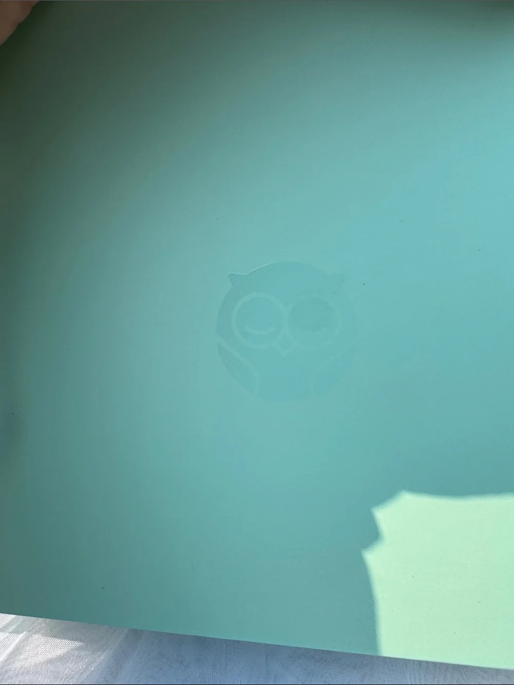 Owlet Smart Sock Baby Monitor – Mint Green